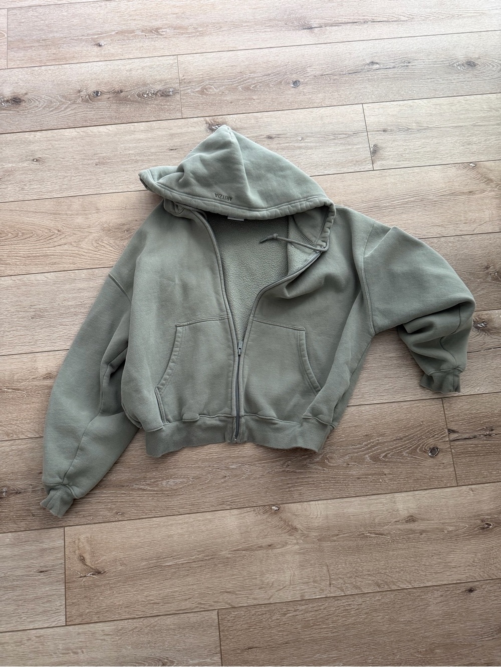 Aritzia Sweatfleece Cozy Hoodie in Sage